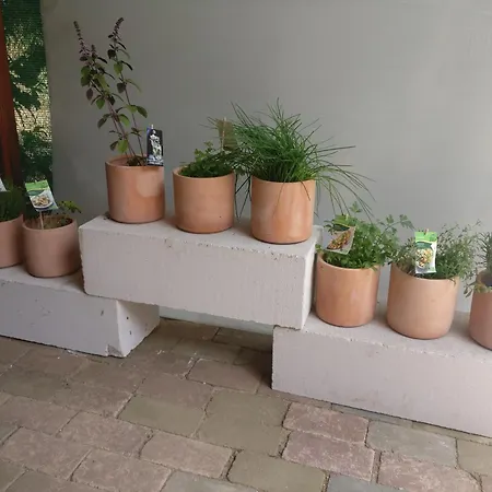 Puskin - Guest house Eforie Sud (Constanta)