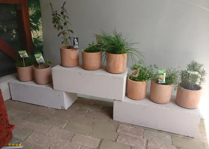 Puskin - בית הארחה אפורי סוד